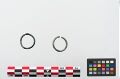 Foto von Bronzering (NHMW-PRAE-024110)